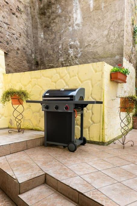 코블렌츠 E"Stein 3 Zkb Terrasse 아파트 외부 사진